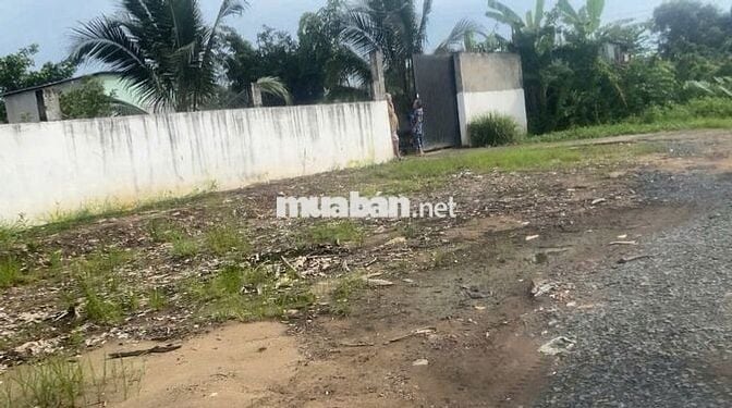 CHO THUÊ NHÀ CẤP 4 50M2 VÀ SÂN VƯỜN 1250M2 KIÊN CỐ