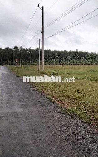 Bán đất xã Thuận Lợi, Huyện Đồng Phú, tỉnh Bình Phước