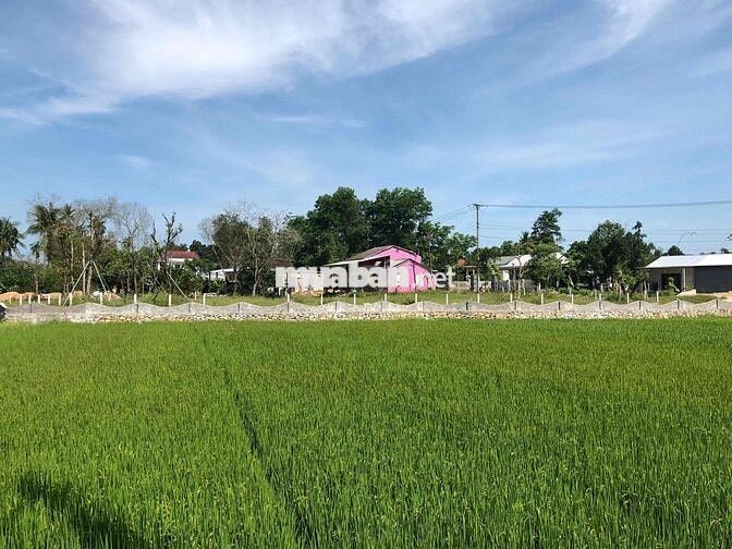 Nhà và đất view Lăng Thiệu Trị Huế
