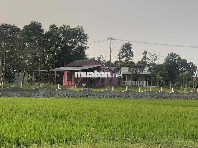 Nhà và đất view Lăng Thiệu Trị Huế