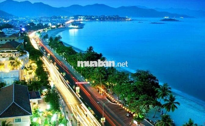 🌴THOÁI VỐN BÁN NHANH 2 LÔ BIỆT THỰ 300M2 BIỂN ĐÀ NẴNG