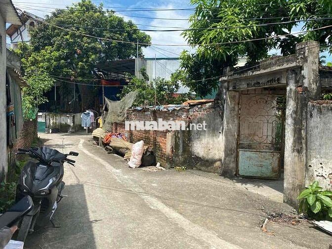 80m Thôn Phú Vinh, xã Phú Nghĩa, Chương Mỹ, Hà Nội 🎉🎉  Đường vào đất l