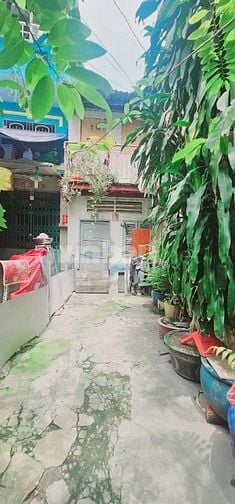 Bán nhà giá rẻ hẻm xe hơi đường 100 Bình Thới, Quận 11 – 1 trệt 2 lầu