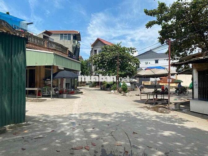 80m Thôn Phú Vinh, xã Phú Nghĩa, Chương Mỹ, Hà Nội 🎉🎉  Đường vào đất l