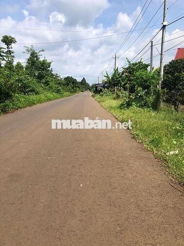 3000m2 đất Lang Minh 2 mặt tiền