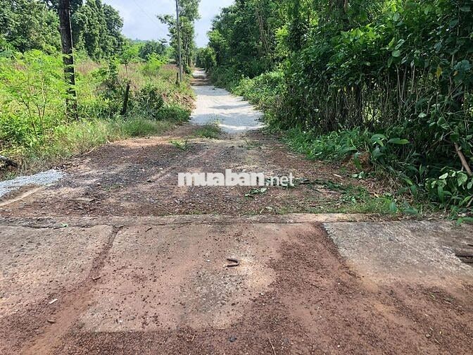 3000m2 đất Lang Minh 2 mặt tiền