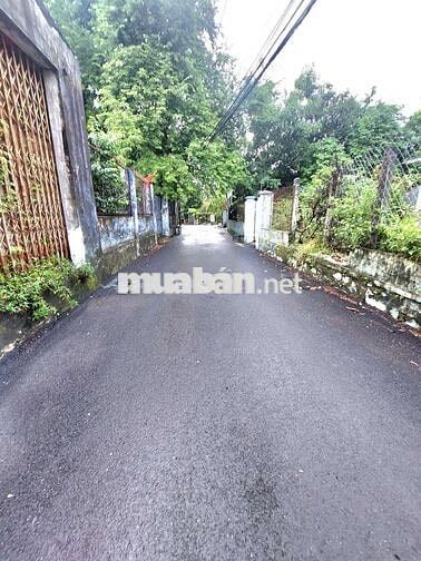 Bán đất ở hoàn toàn 168m2 kiệt 5m thảm nhựa Hoàng Văn Thái