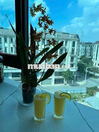 LÔ GÓC SIÊU ĐẸP - MỚI- HÀNG XÓM HIMLAM VẠN PHÚC-7 TẦNG THANG MÁY