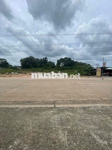 Chủ về quê cắt lỗ 200m2 Giá Cắt lỗ gần chợ Hoà Lợi
