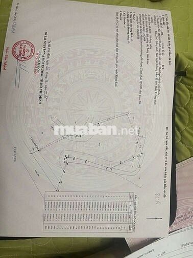 BÁN 8.007 M2 ĐẤT TRỒNG CÂY HÀNG NĂM KHÁC, TẠI CẦN GIỜ- GIÁ 10 TỶ
