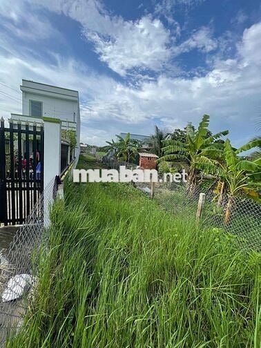 ĐẤT THỔ CƯ 100% ĐƯỜNG DT 832 - TÂN TRỤ - LONG AN