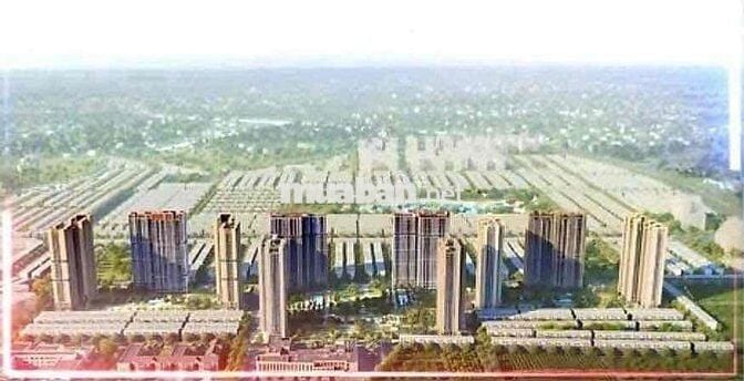 Masterise Homes tại Vinhomes Ocean Park 3