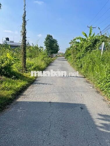 GẤP GẤP CẦN BÁN NHANH ĐẤT THỔ VƯỜN NGAY THỊ XÃ TRẢNG BÀNG