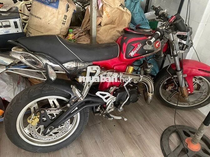 Xe 67 đẹp nhất Việt Nam