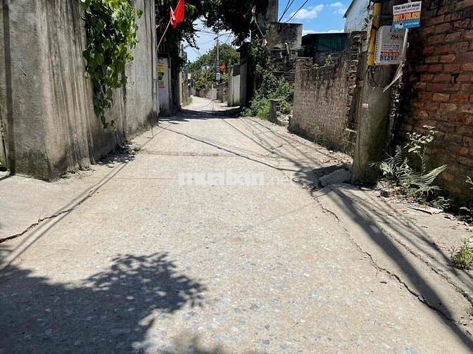 đất phụng châu phường chương mỹ mặt dg kinh doanh đẹp