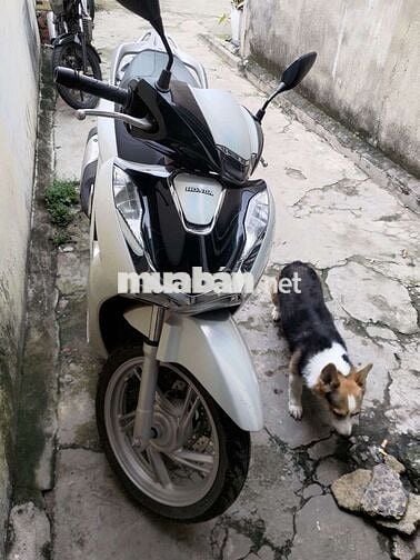 Honda SH 160 VN
