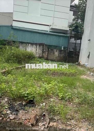 đất phụng châu phường chương mỹ mặt dg kinh doanh đẹp đất phụng châu phường chương mỹ mặt dg kinh doanh đẹp