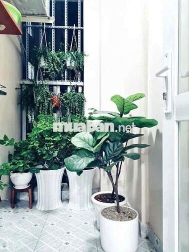 Cho thuê chung cư Hiệp Thành 3 2phòng ngủ full nội thất