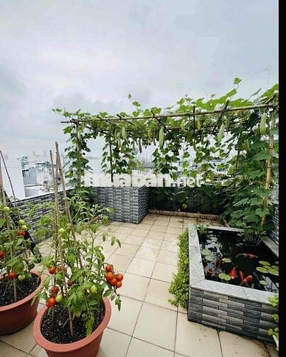 ❤️ NHÀ MẶT TIỀN 5 TẦNG – GẦN CHỢ CÂY QUÉO – 17 TỶ TL