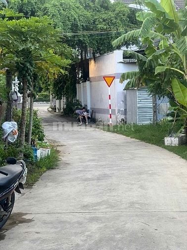 Bán nhà cấp 4, 123m2. Trung Tâm P. Ninh Hòa. Khánh Hòa