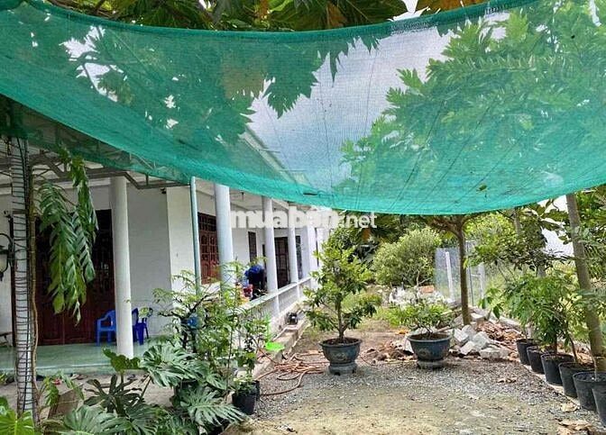 Ngân hàng thanh lí căn nhà vườn 3000m2