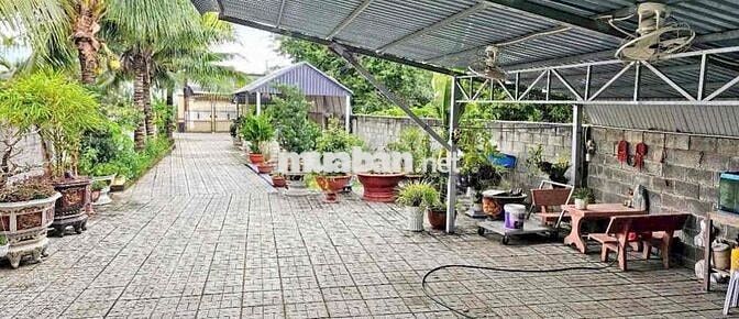 Ngân hàng thanh lí căn nhà vườn 3000m2