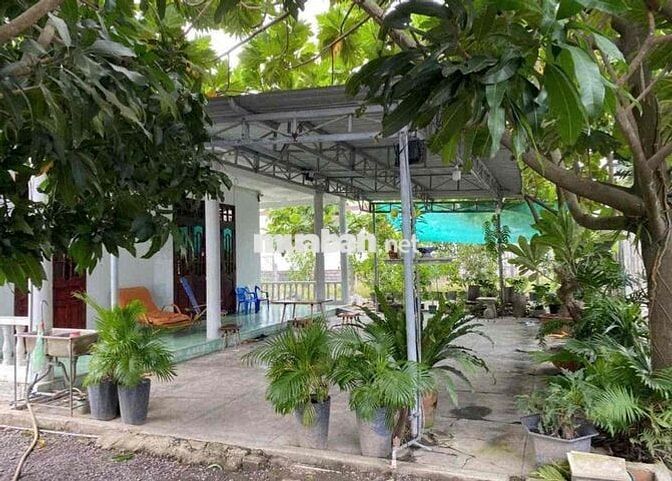 Ngân hàng thanh lí căn nhà vườn 3000m2