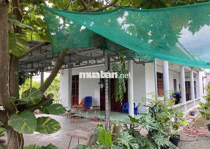 Ngân hàng thanh lí căn nhà vườn 3000m2