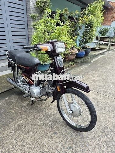 Drem Việt 2010.máy 110cc,sườn zin,BSTP,chính chủ