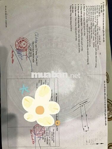 GIÁ 780TRIỆU SỞ HỬU NỀN 5X30=171.9 NỞ HẬU ĐUÔI 6M CÁCH CẦU NGÃ BÁT800M