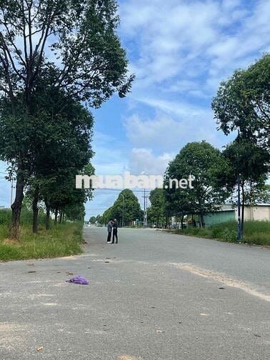 Ngân Hàng Thanh lý 179m2 Giá Thanh lý cách chợ hoà lợi 800m