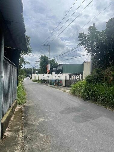 Bán đất Phú an đường nhựa lớn dân đông gần ngã tư Phú Thứ