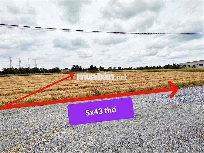 Đất Sát Cv Võ Văn Tần 5x43m giá 990tr đất thổ cư