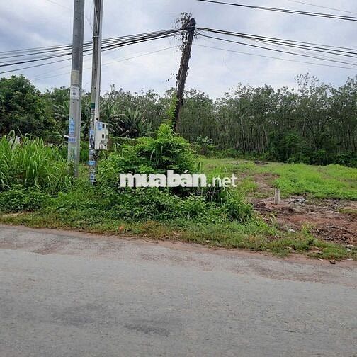 44×58m, 400tc. Ngay KCN Hiệp Thạnh Tây Ninh. 180tr/mn.