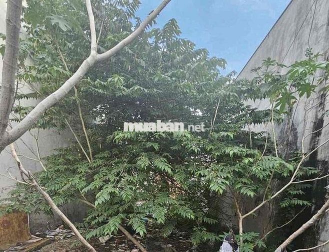 Bán đất 5x20M hẻm 8M thông, gần chợ Liên Khu 56, Bình Tâ