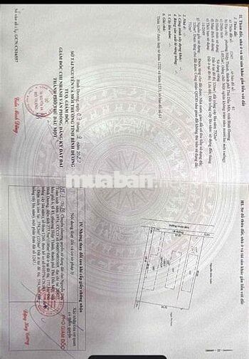 Bán Biệt Thự Hiệp Thành 779m2 4PN Full Nội Thất Giá Bằng Giá Đất