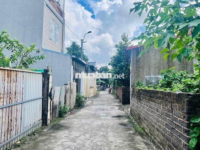 🌟 BÁN ĐẤT GIÁ TỐT – TDP CAM LỘ 4, HÙNG VƯƠNG, HỒNG BÀNG 🌟
