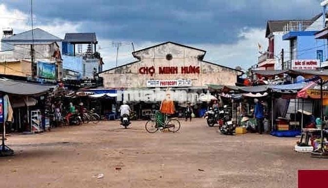 Đất ngộp 300m2 sẵn thổ cư gần kcn Minh Hưng 3