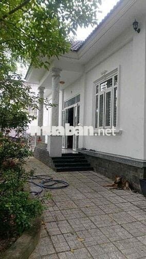 Bán Biệt Thự Hiệp Thành 779m2 4PN Full Nội Thất Giá Bằng Giá Đất