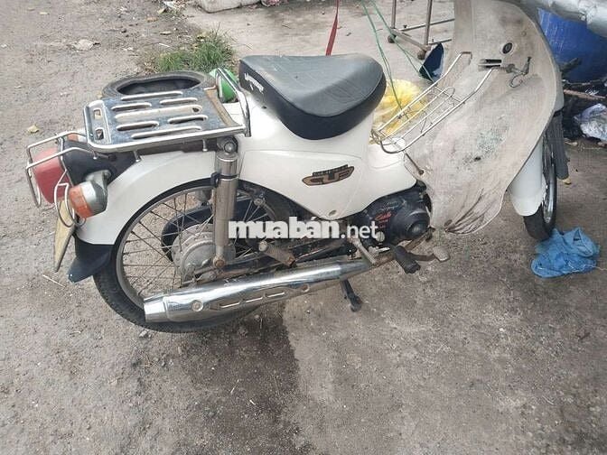 Cần bán cúp 50cc