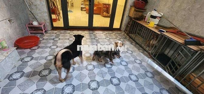 🏠 NHÀ ĐẸP 4 TẦNG – NGUYỄN VĂN QUỲ – QUẬN  7_Giá: 7.8 Tỷ_80m² (4x20)