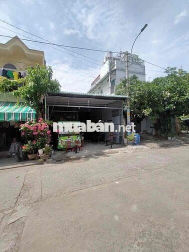 cho thuê nhà mặt tiền đg tô ký vào 1/ sau lưng trương dhgtvt q12
