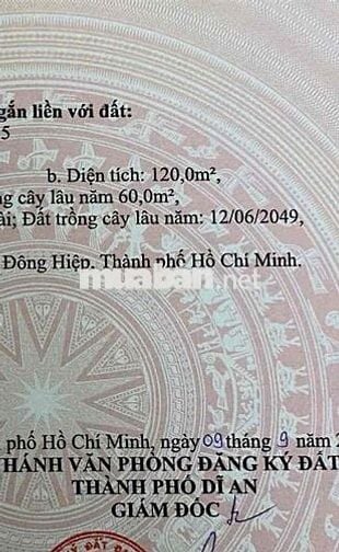 Đất mặt tiền Kinh doanh, gần Ngã Tư Chiêu liêu, P Tân Bình, Tp Dĩ An.