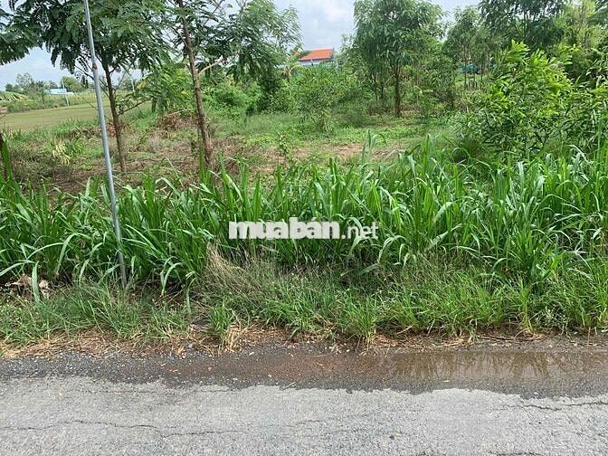 ĐẤT NỀN XÃ TÂN HOÀ , GÒ CÔNG ĐÔNG