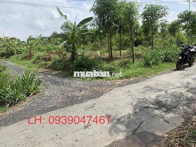 ĐẤT NỀN XÃ TÂN HOÀ , GÒ CÔNG ĐÔNG