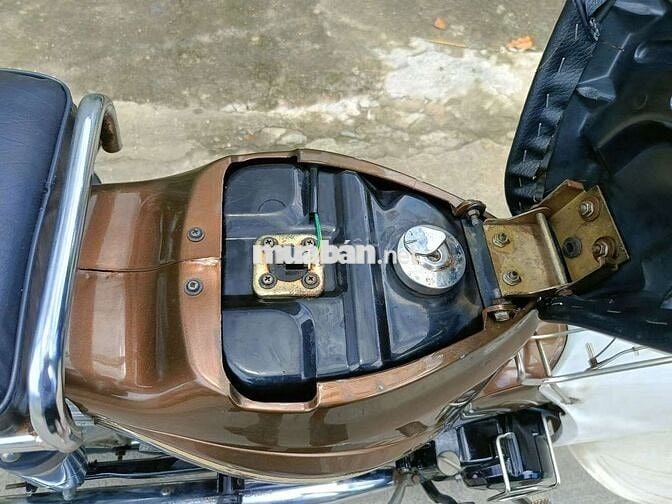 Cub 50cc