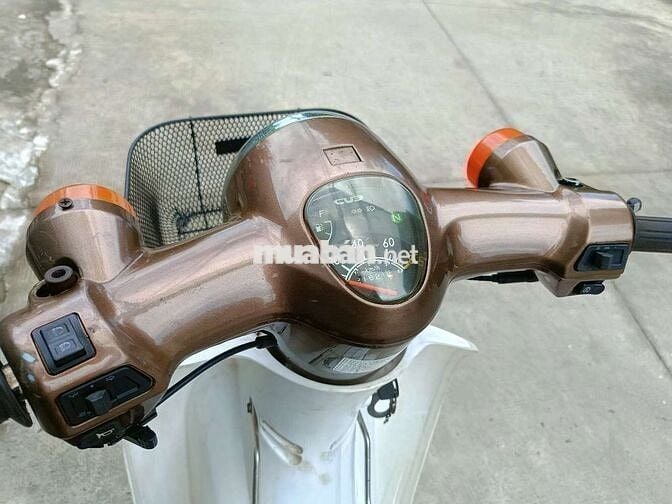 Cub 50cc