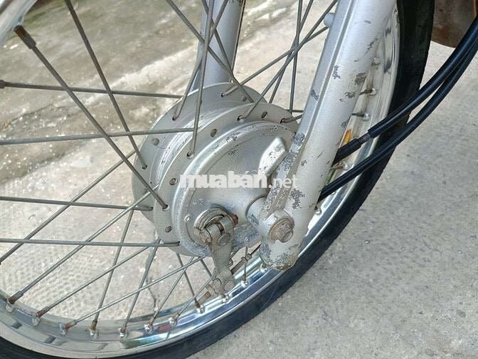 Cub 50cc