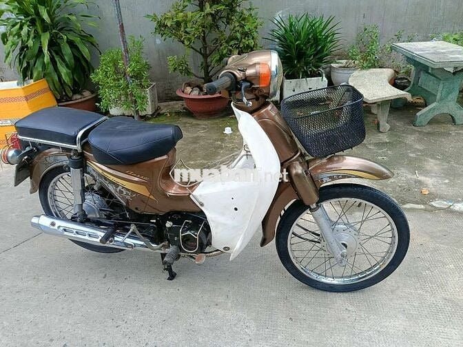 Cub 50cc