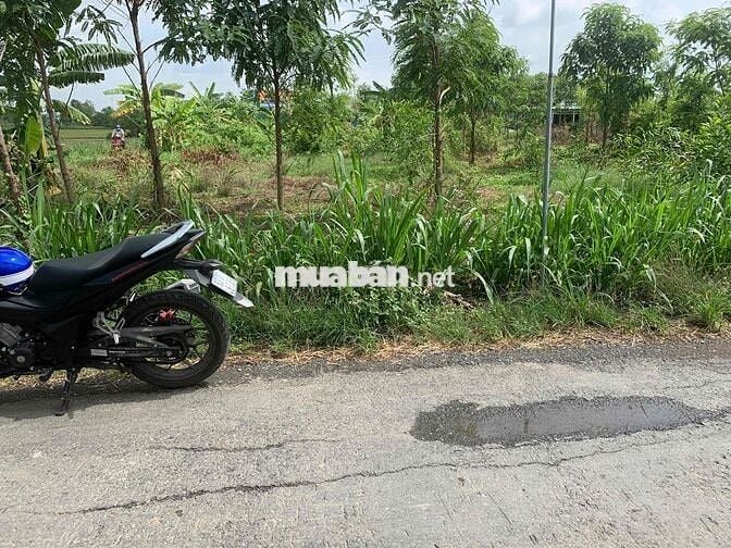 ĐẤT NỀN XÃ TÂN HOÀ , GÒ CÔNG ĐÔNG
